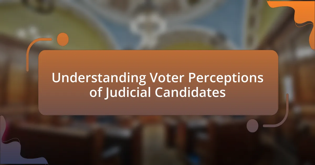 Understanding Voter Perceptions of Judicial Candidates