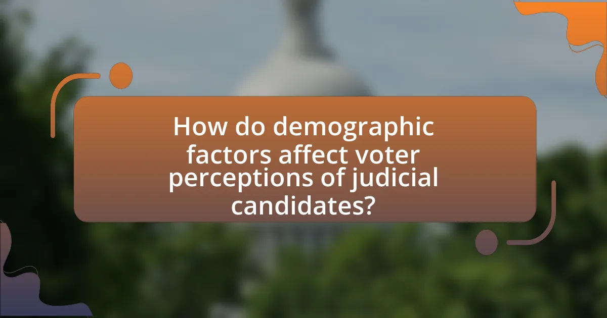 How do demographic factors affect voter perceptions of judicial candidates?